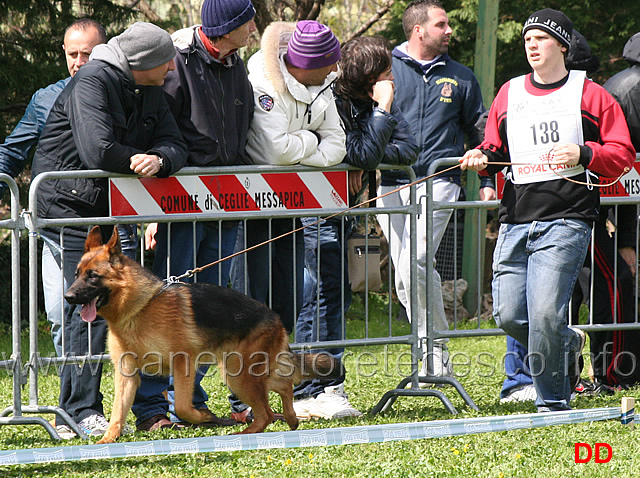 nera-blackhof.jpg - Classe Cucciolone femmine Nera Blackhof