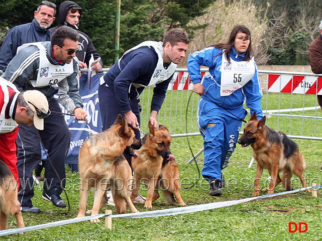 partenza-giovani-femmine-03.jpg - Partenza classe Giovani femmine