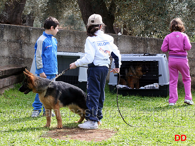 piccoli-cinofili-crescono.jpg - Piccoli cinofili crescono