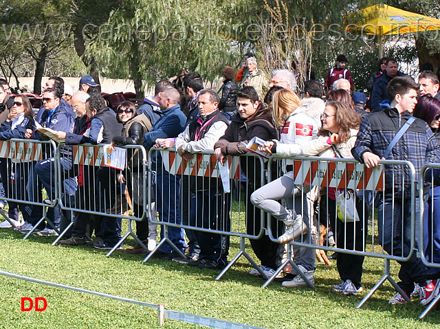 pubblico-02.jpg - Il pubblico al raduno di Brindisi