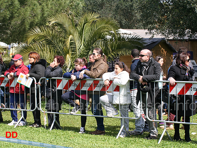 pubblico-06.jpg - Pubblico