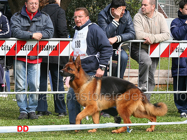 quantum-degli-iapigi-02.jpg - Quantum degli Iapigi