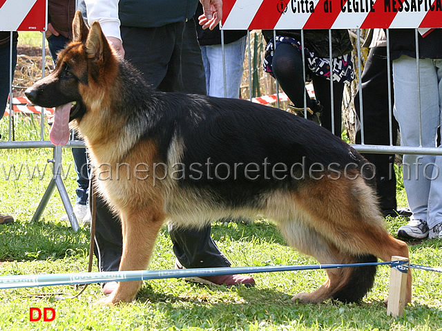 unzo-degli-iapigi-02.jpg - Unzo degli Iapigi 3  MP Juniores maschi