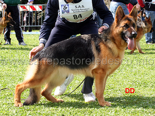 uva-del-rione-antico-04.jpg - Uva del Rione Antico 3 MB Giovanissime femmine