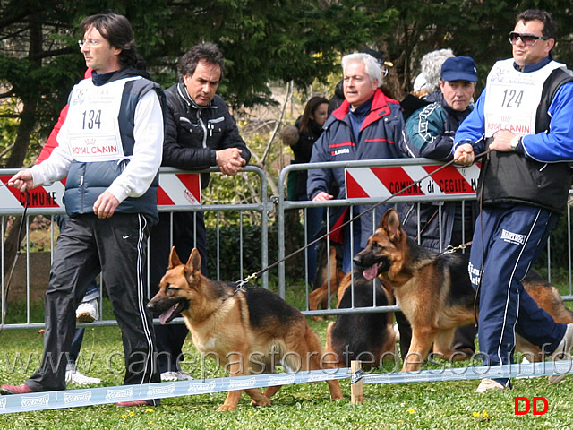 vani-del-rione-antico.jpg - Classe Cucciolone femmine Vanì del Rione Antico