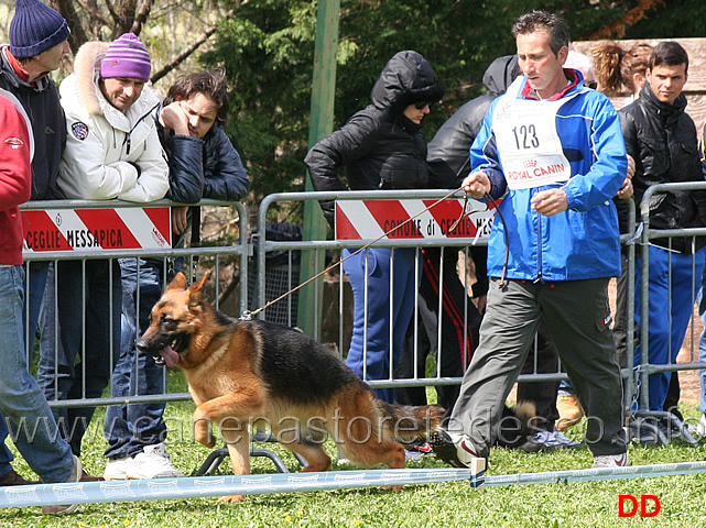 verga-del-rione-antico.jpg - Classe Cucciolone femmine Verga del Rione Antico