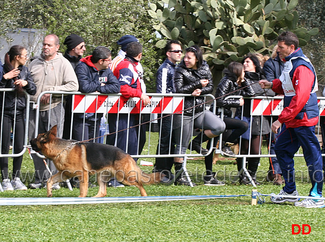 zac-del-castello-svevo.jpg - Classe Giovanissimi maschi Zac del Castello Svevo