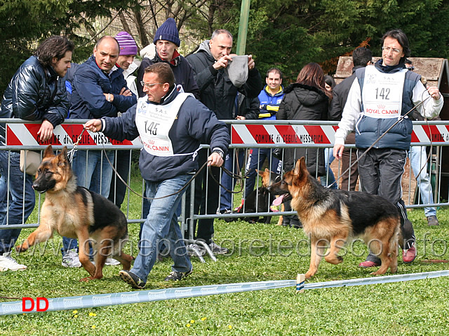 zicco-di-ca-de-pace-e-unzo-degli-iapigi.jpg - Classe Juniores maschi Zycco di Ca' de' Pace e Unzo degli Iapigi