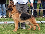 ambramarie-05