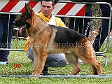 cico-di-casa-nobili-04