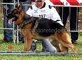 fanto-dell-alta-costa-04