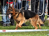 gio-dell-appio-03