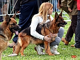 martina-anastasi-con-raika-terrae-lupiae