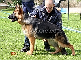 piccole-cucciolone-crescono-02