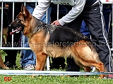 sally-di-catacium-06