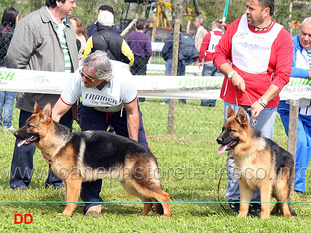 ambro-e-alemanno-d-eros.jpg - Ambro e Alemanno d'Eros 8 e 9  MP Juniores maschi