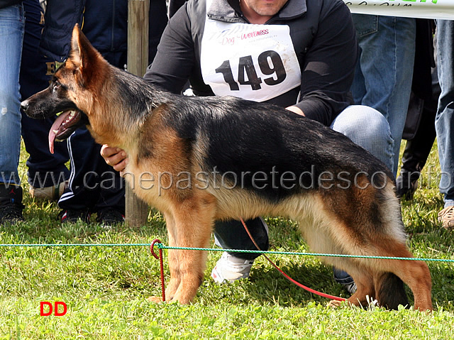 arko-05.jpg - Arko 1 MP Juniores maschi