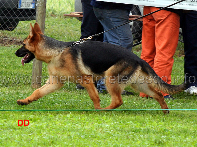 asia.jpg - Juniores femmine Asia