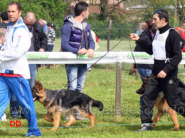 axel-von-urselspiel-02.jpg - Axel von Urselspiel 7 MP Juniores maschi