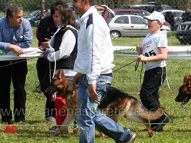 fenia-von-maikhus-04.jpg - I giovani conduttori sfilano con le cucciolone. Fenia von Maikhus