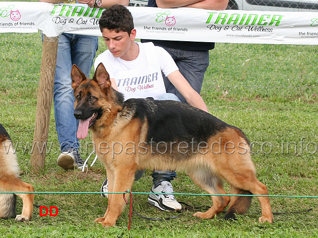 gianluca-petriccione-con-brenda.jpg - Gianluca Petriccione con Brenda 20 MB Giovanissime femmine