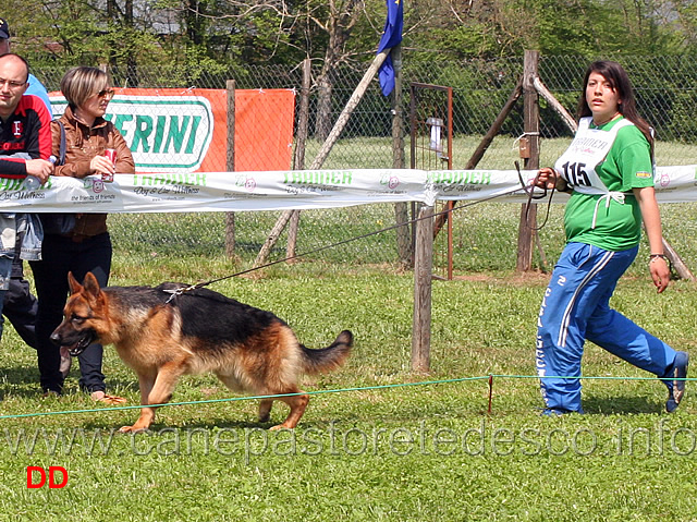 leo-dell-alto-pino.jpg - Leo dell'Alto Pino