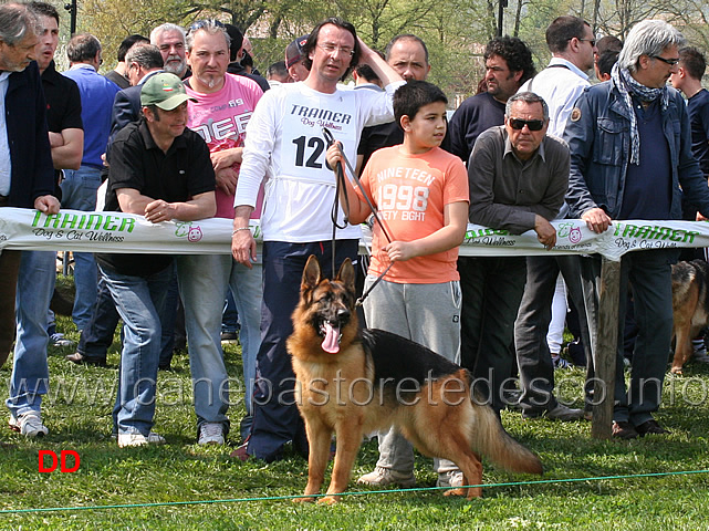 michele-con-sally.jpg - I giovani conduttori sfilano con le cucciolone.