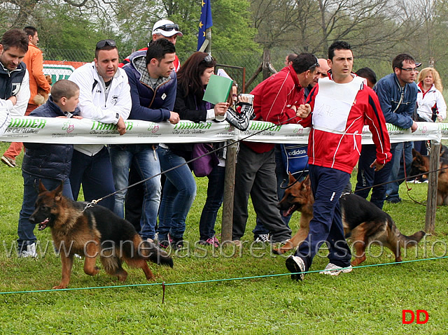 ola-di-casa-nobili-e-zoe-di-ca-de-pace.jpg - Juniores femmine Ola di Casa Nobili e Zoe di Ca' de' Pace