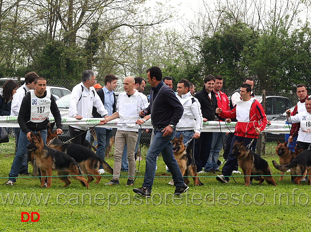 partenza-juniores-femmine.jpg - Partenza classe Juniores femmine