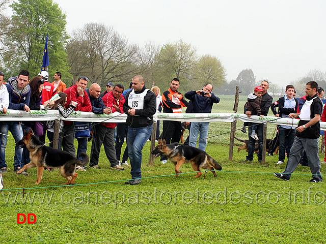 quercia-e-arlett-urselspiel.jpg - Juniores femmine Quercia e Arlett Urselspiel