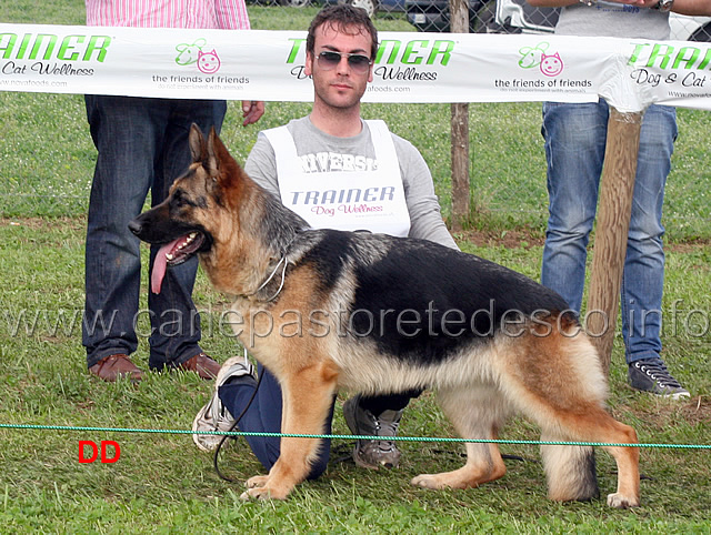 terry-del-rione-antico.jpg - Terry del Rione Antico 18 MB Giovanissime femmine