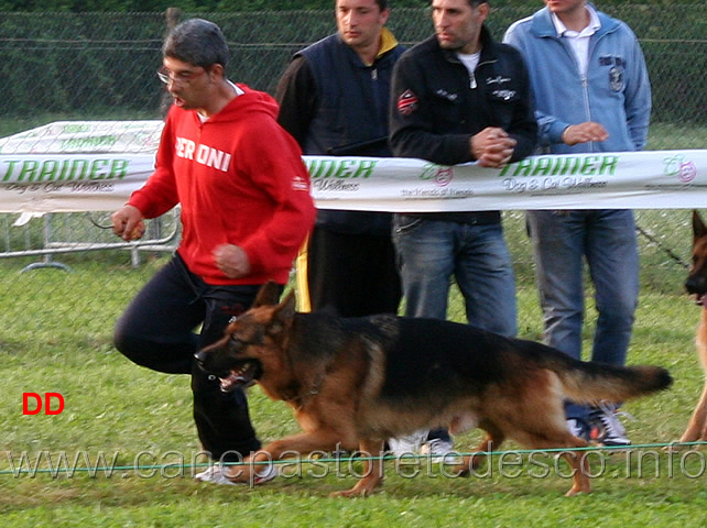 uwo-dell-alto-pino-04.jpg - Gianluca Veraldi con Uwo dell'Alto Pino