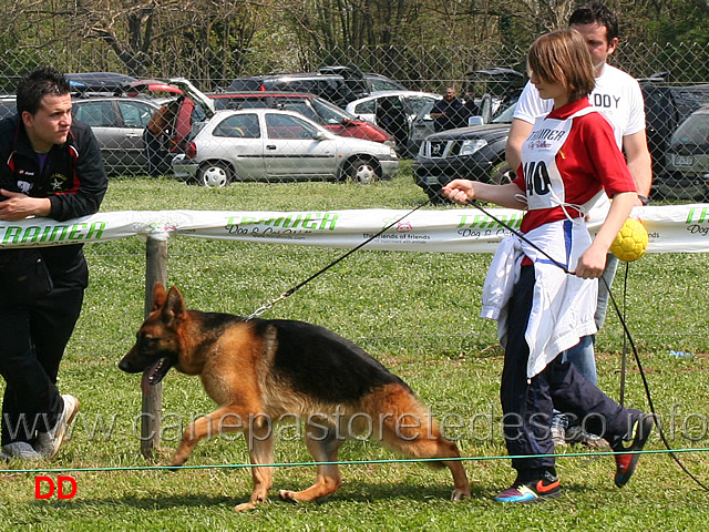 verga-del-rione-antico-05.jpg - I giovani conduttori sfilano con le cucciolone. Verga del Rione Antico