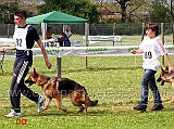 akita-dell-isolotto