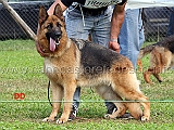 eva-di-camporeale-05