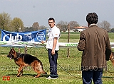 il-giudice-d-alvano-sposta-indio-di-casa-nobili-al-primo-posto