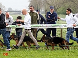 jasmin-e-ola-di-casa-nobili-in-lotta-per-recuperare-posizioni-