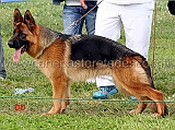nera-blackhof-04