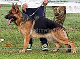 rendy-delori-03