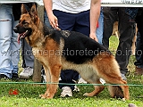 tracy-di-casa-nobili-05