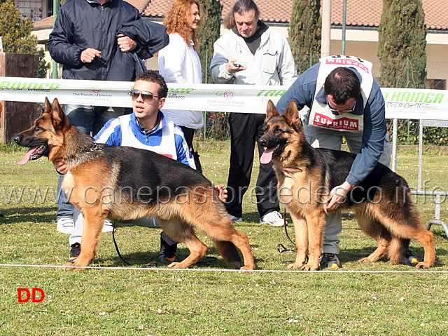 art-e-axil-antico-maniero.jpg - Juniores maschi Art dell'Antico Maniero e Axil dell'Antico Maniero