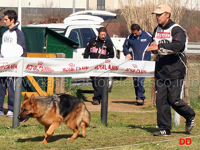 aura-bea.jpg - Cucciolone femmine Aura Bea