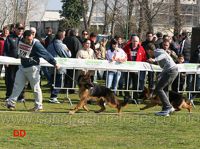 axil-antico-maniero-e-diego.jpg - Juniores maschi Axil  dell'Antico Maniero e Diego