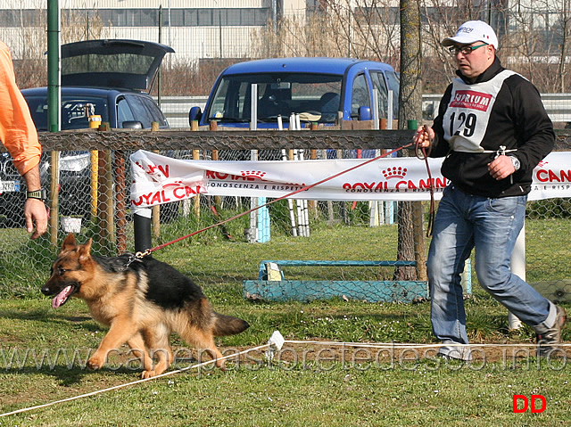 fanta-di-casa-ines.jpg - Juniores femmine Fanta di Casa Ines