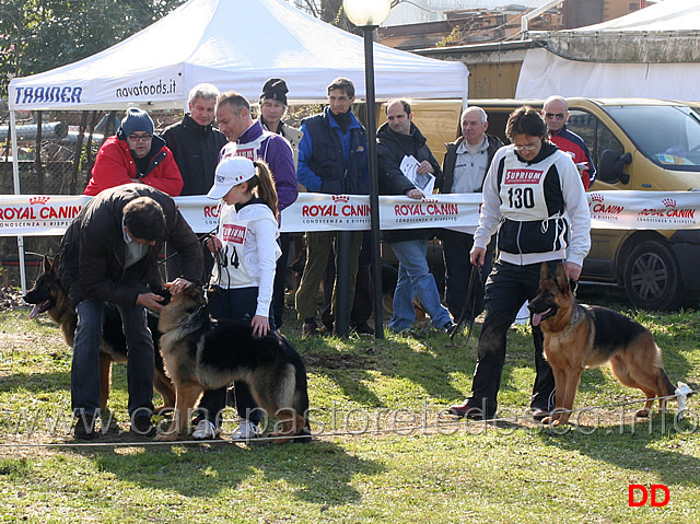 juniores-femmine.jpg - Juniores femmine