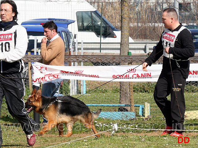 mora-dei-colli-di-uzzano.jpg - Cucciolone femmine Mora dei Colli di Uzzano