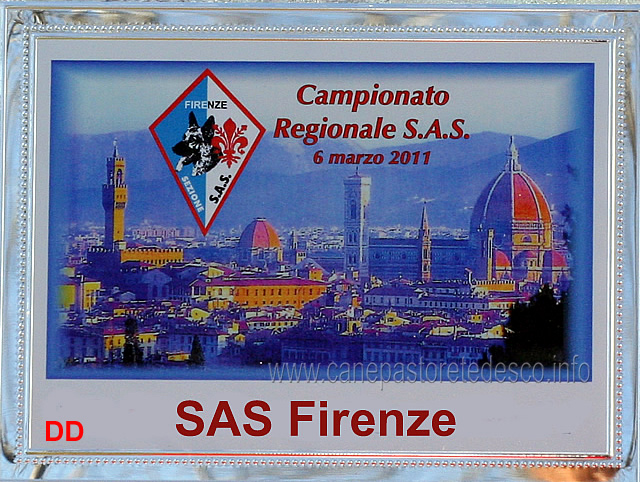 sas-firenze-campionato-regionale.jpg - Raduno SAS Firenze, Brozzi 6 marzo 2011