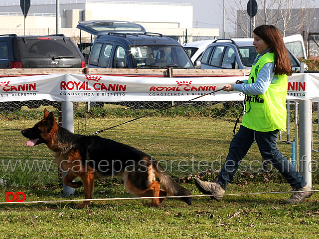 vittoria-beggiato-con-yara-di-casa-beggiato.jpg - Giovani conduttrici crescono: Vittoria Beggiato con  Yakira di Casa Beggiato