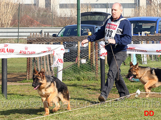 xindy-del-monte-poliziano.jpg - Juniores femmine Xindy del Monte Poliziano