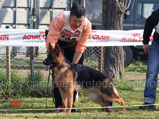 yakira-di-casa-beggiato.jpg - Juniores femmine. Yakira di Casa Beggiato